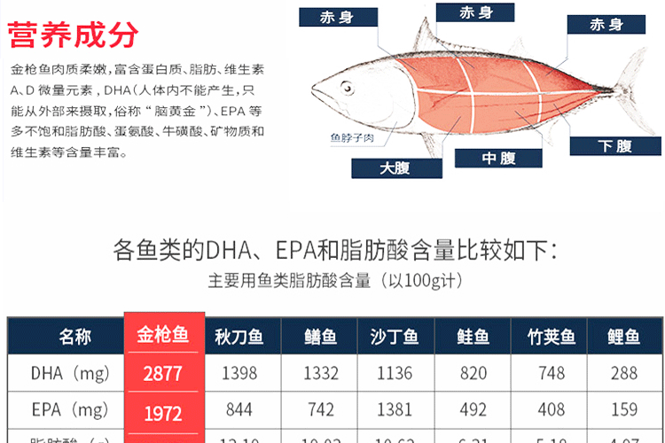 新品批发深海金枪鱼刺身整条海鲜海鱼新鲜黄鳍大目金枪生鱼片