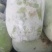 精品东瓜，基地一手货源，高中低档一应俱全