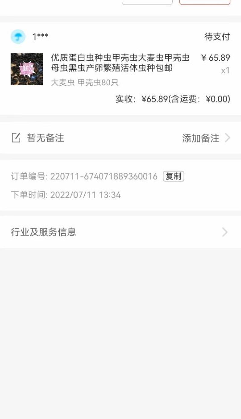 大蛋白虫