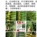 乾德1917小黄瓜苗子，瓜条颜色漂亮耐皲裂秋延越冬早春