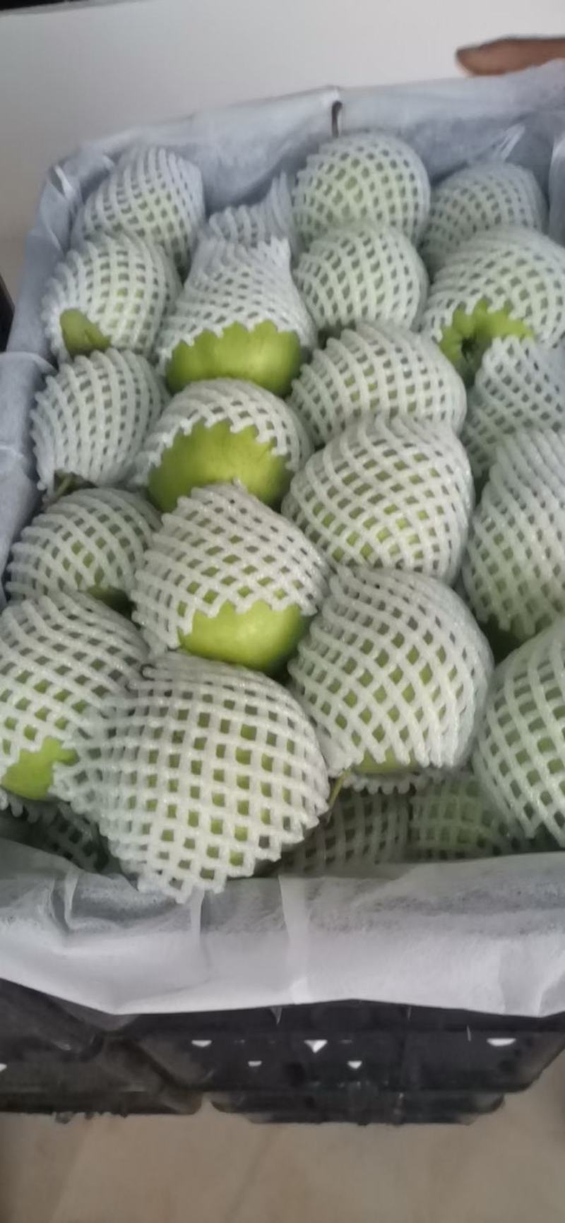 青脆