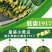 乾德1917小黄瓜苗子，瓜条颜色漂亮耐皲裂秋延越冬早春