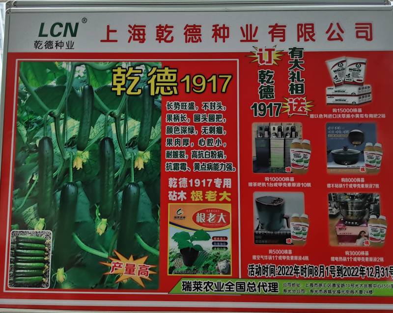 乾德1917小黄瓜苗子，瓜条颜色漂亮耐皲裂秋延越冬早春