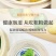 窝窝头粗粮五谷杂粮不加糖半成品主食代餐方便食品儿童早餐