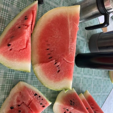 老陈家露天西瓜开卖了