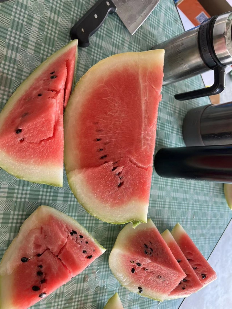 老陈家露天西瓜开卖了