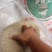 山东碎粉条可做馅做汤厂家一手货源承接食堂饭店加工厂