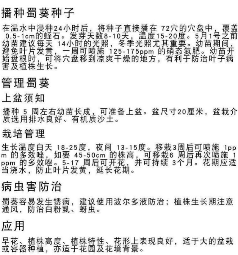 蜀葵种子春秋四季易种庭院多年生宿根花籽室外庭院花重瓣一丈