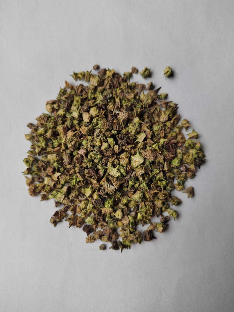 白蒺藜蒺藜鲁舜泽中药材商行诚信经营全国发货