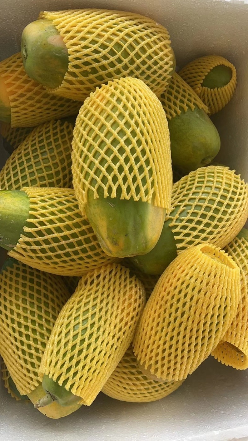 木瓜