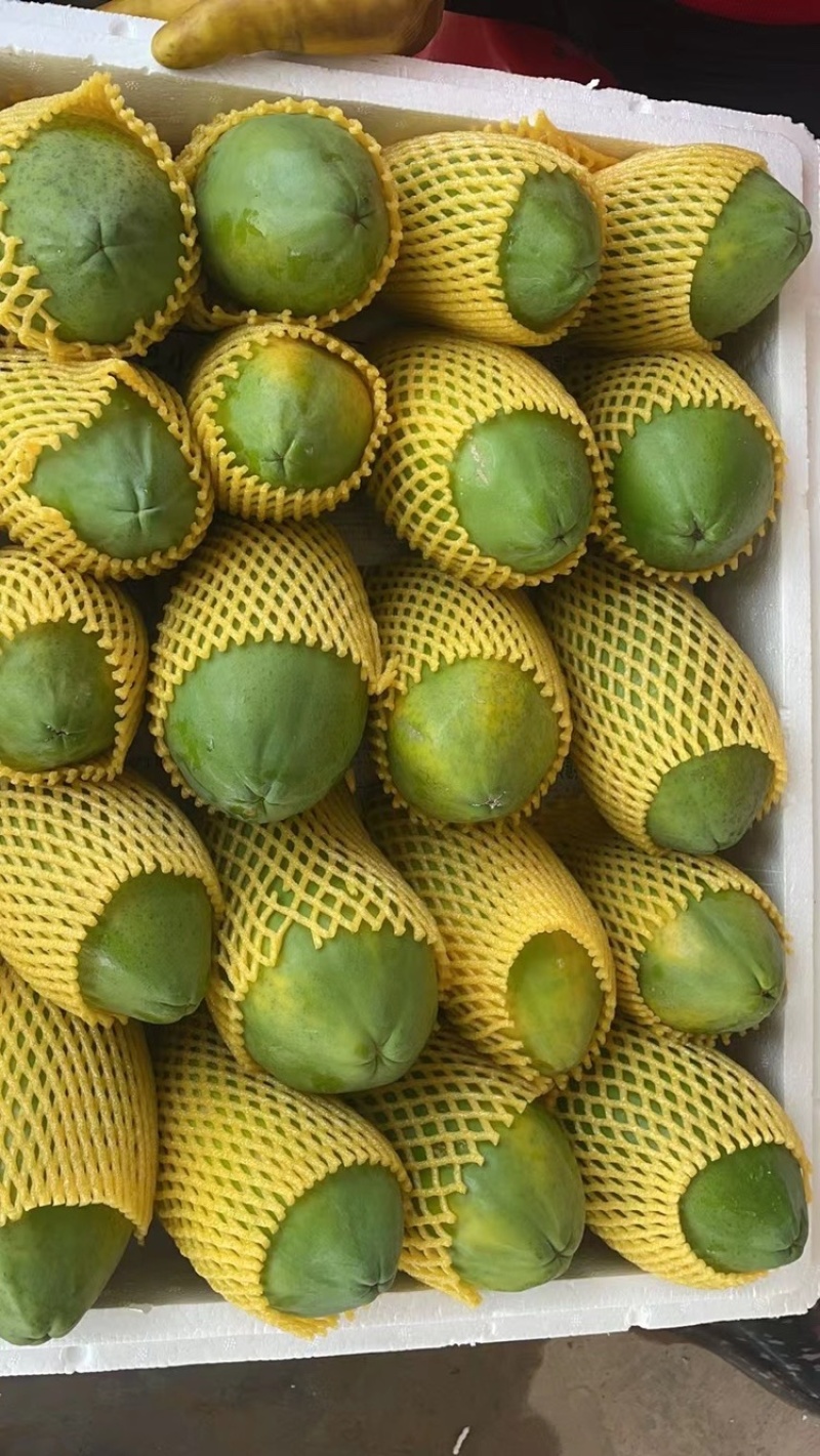 木瓜