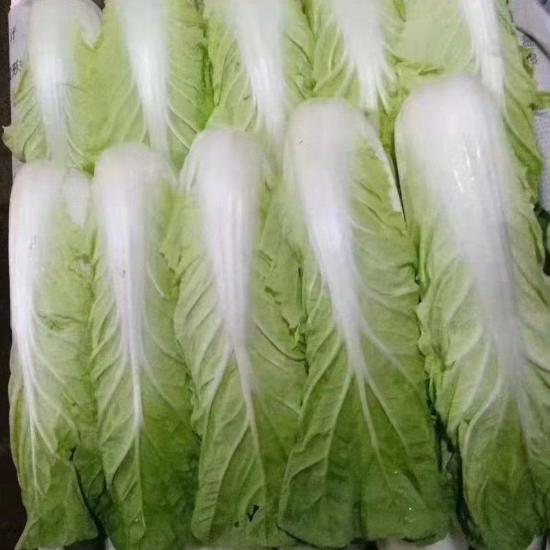 黄白