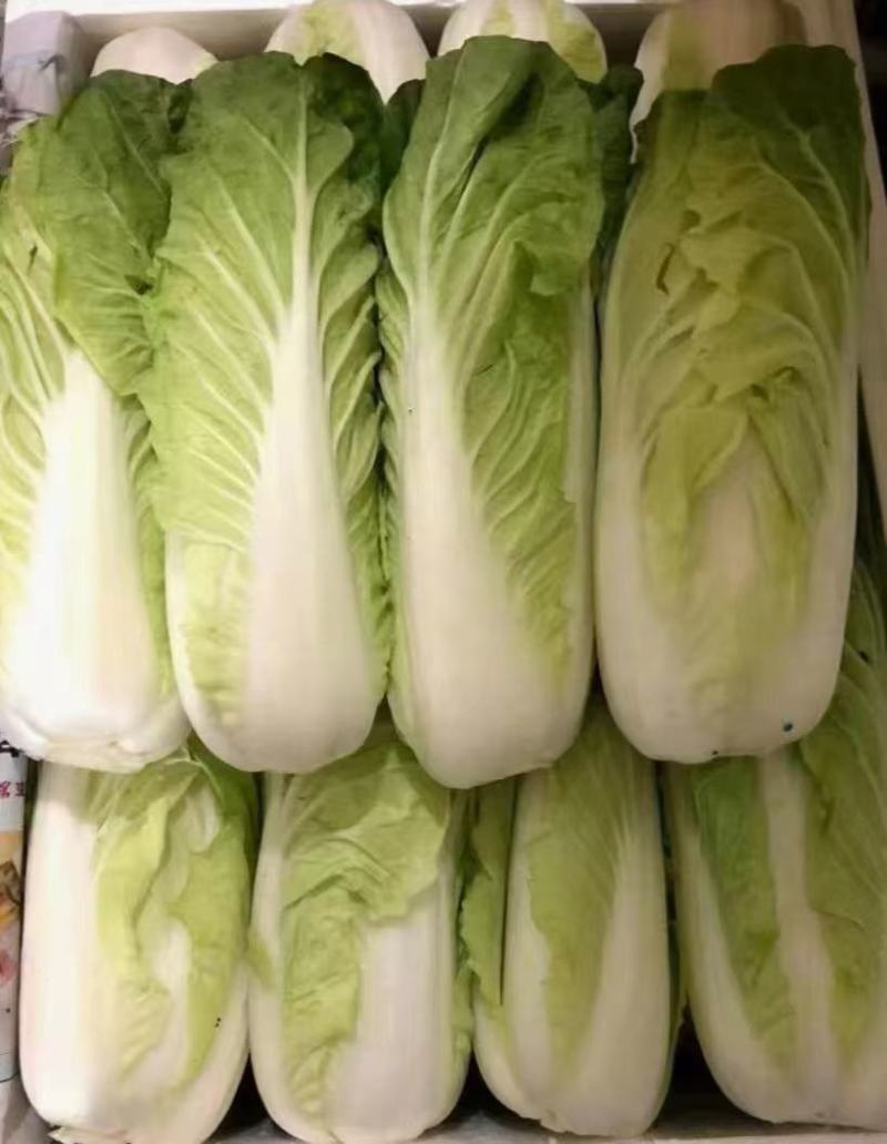 黄白