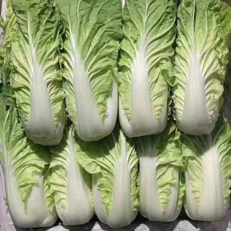 黄白
