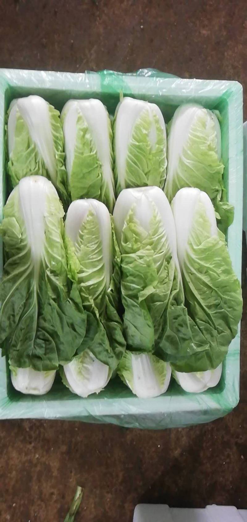 黄白