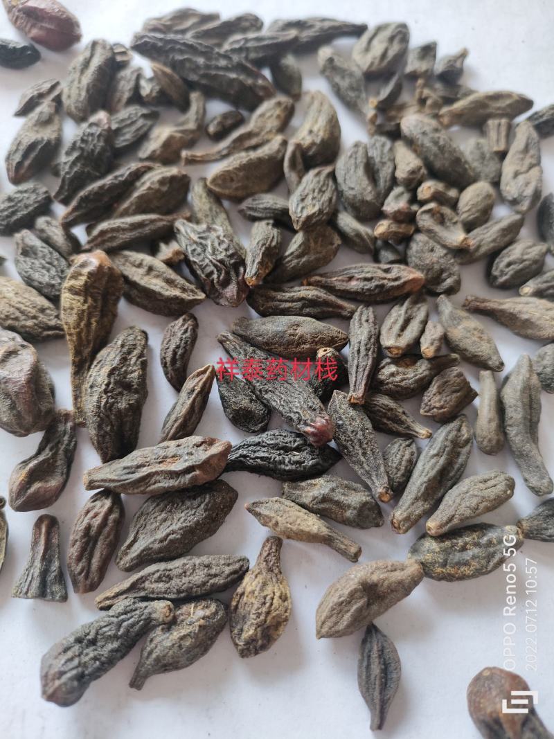 西青果500克中药材西藏藏青果咽喉泡水干青果橄榄果祥泰