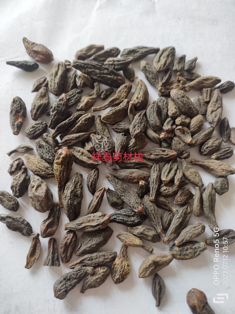 西青果500克中药材西藏藏青果咽喉泡水干青果橄榄果祥泰
