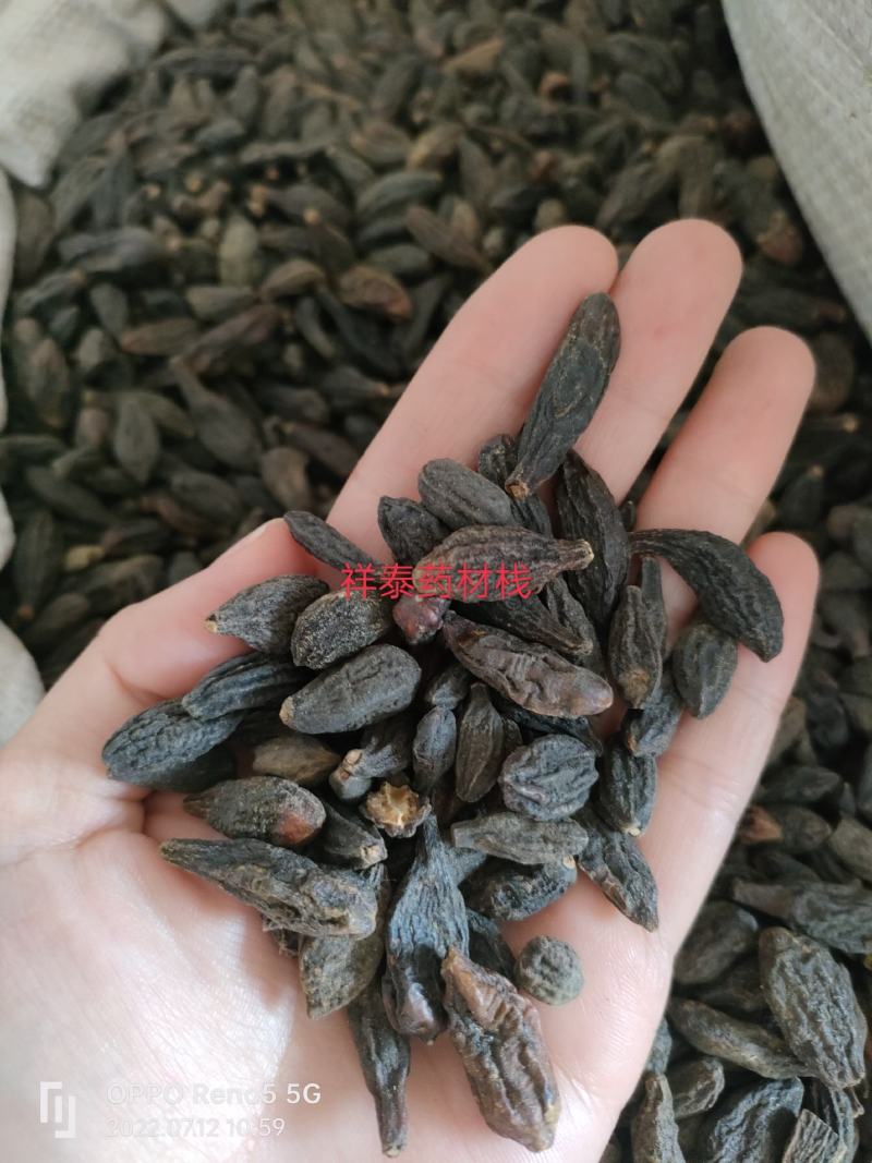 西青果500克中药材西藏藏青果咽喉泡水干青果橄榄果祥泰