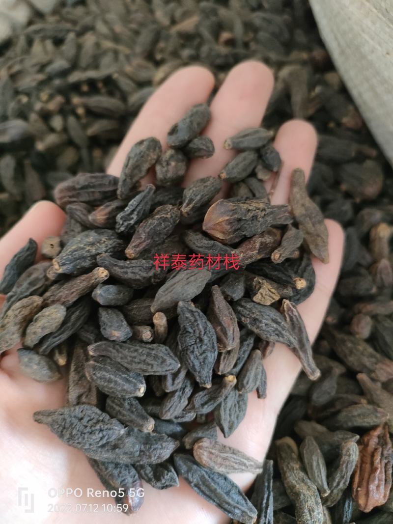西青果500克中药材西藏藏青果咽喉泡水干青果橄榄果祥泰