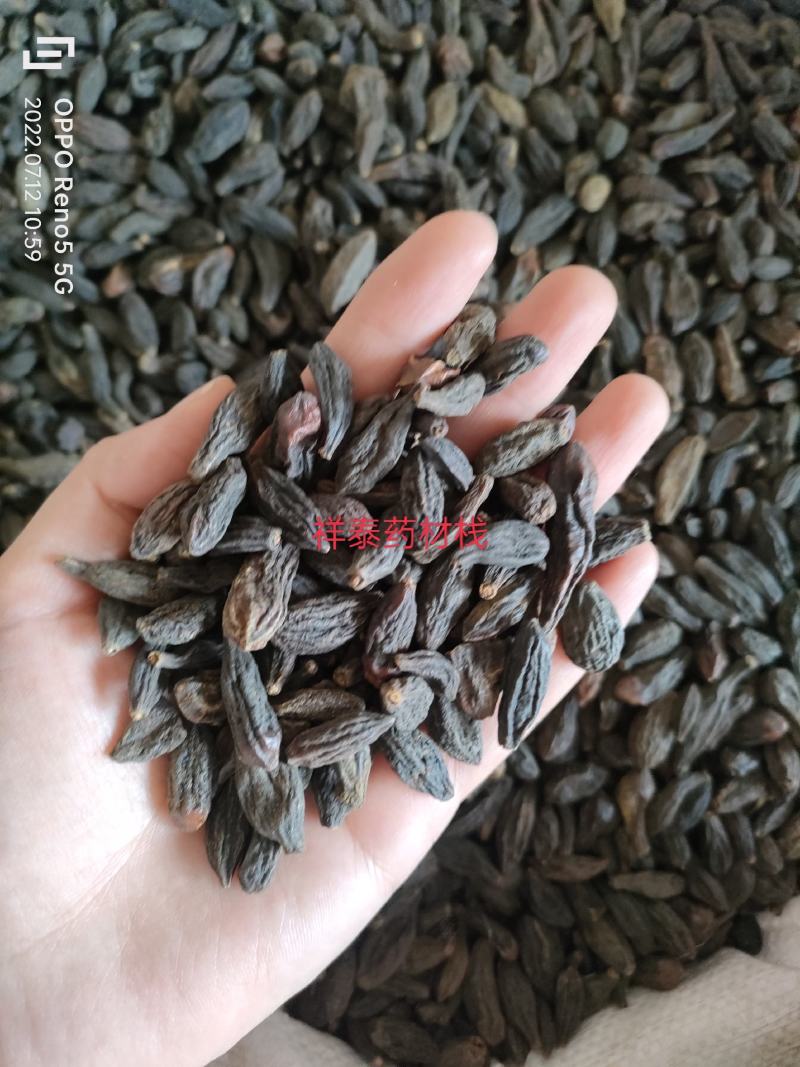 西青果500克中药材西藏藏青果咽喉泡水干青果橄榄果祥泰