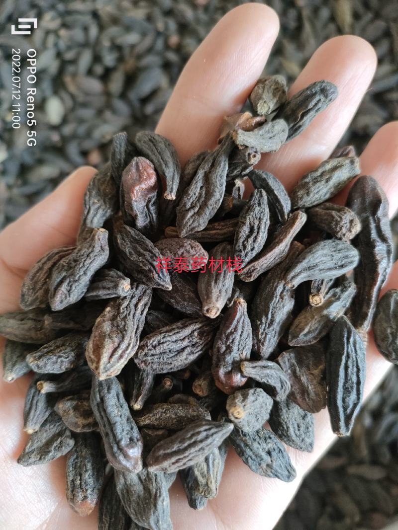 西青果500克中药材西藏藏青果咽喉泡水干青果橄榄果祥泰