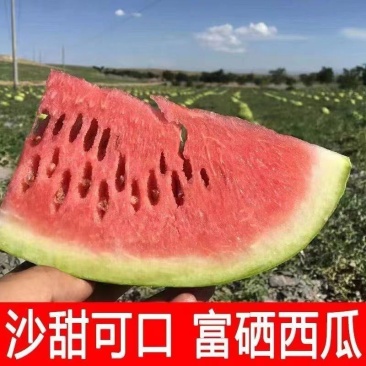 新疆昌吉西瓜大量上市，包熟包甜，大量供应欢迎采购
