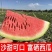 新疆昌吉西瓜大量上市，包熟包甜，大量供应欢迎采购