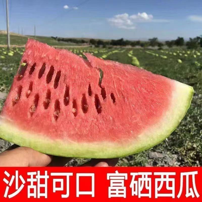 新疆昌吉西瓜大量上市，包熟包甜，大量供应欢迎采购