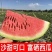 新疆昌吉西瓜大量上市，包熟包甜，大量供应欢迎采购