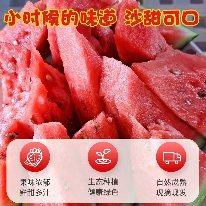新疆昌吉西瓜大量上市，包熟包甜，大量供应欢迎采购