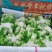 砀山精品儿菜，皮毛亮度高，儿头丰满，货源充足