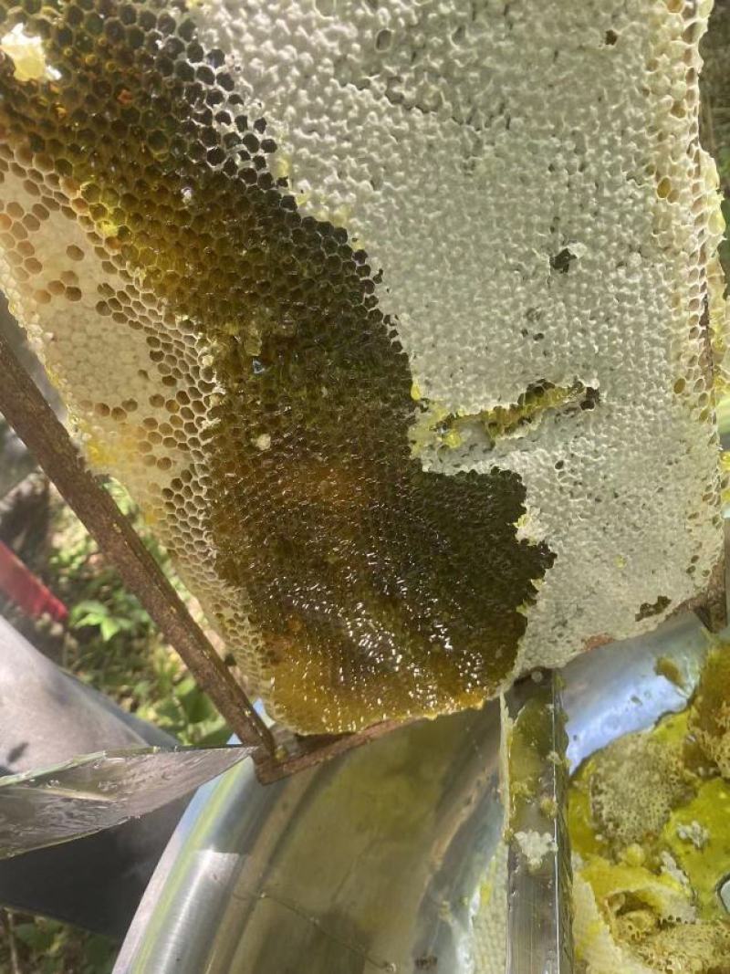 土蜂蜜
