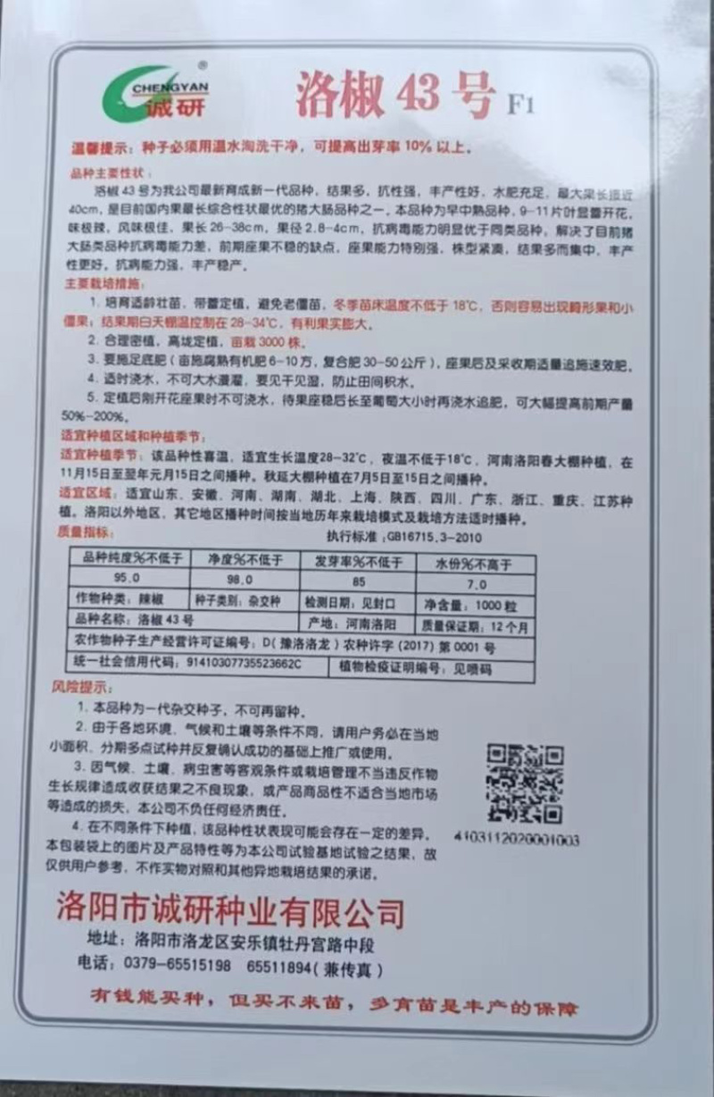 诚研系列—洛椒43号：抗病能力强，丰产稳产