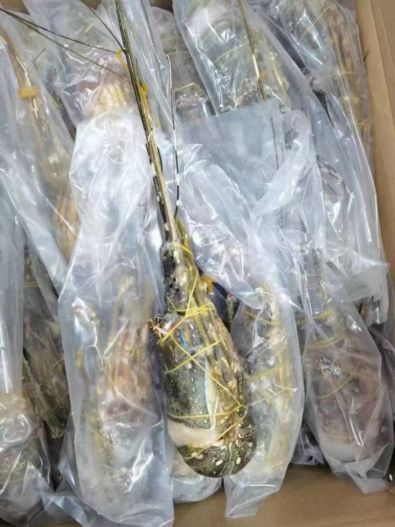 水产品