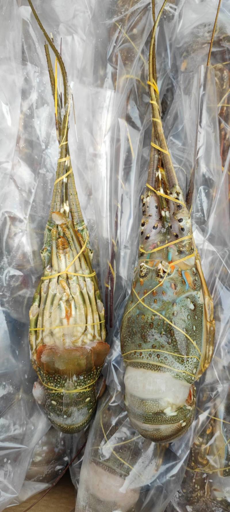 水产品