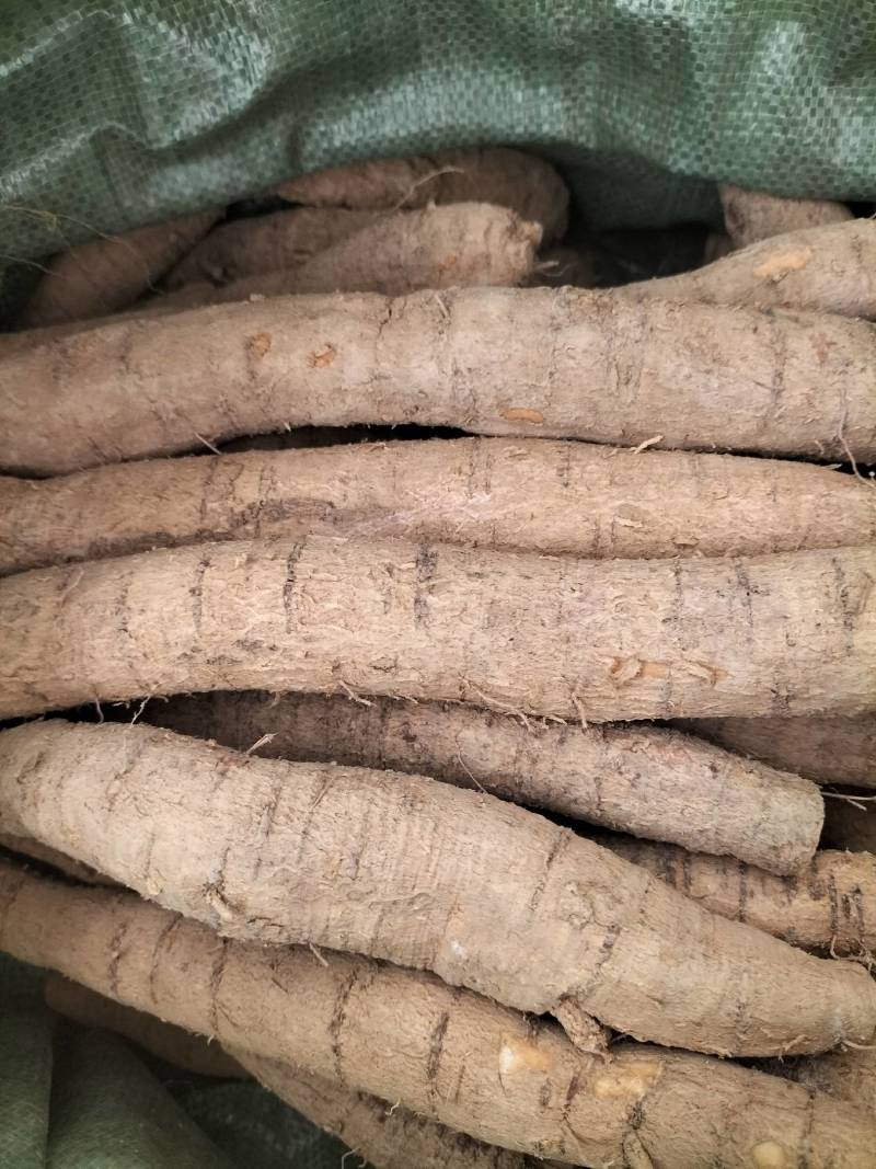 新鲜中叶牛大力，根，小次，大次，小小牛，煲汤泡酒口味甘甜