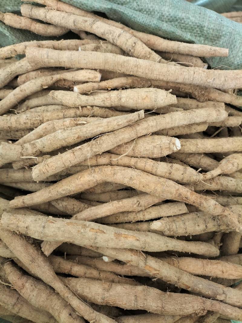新鲜中叶牛大力，根，小次，大次，小小牛，煲汤泡酒口味甘甜