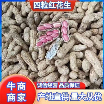 花生四粒红鲜花生，大白鲨，小鲁花，供应商超市场