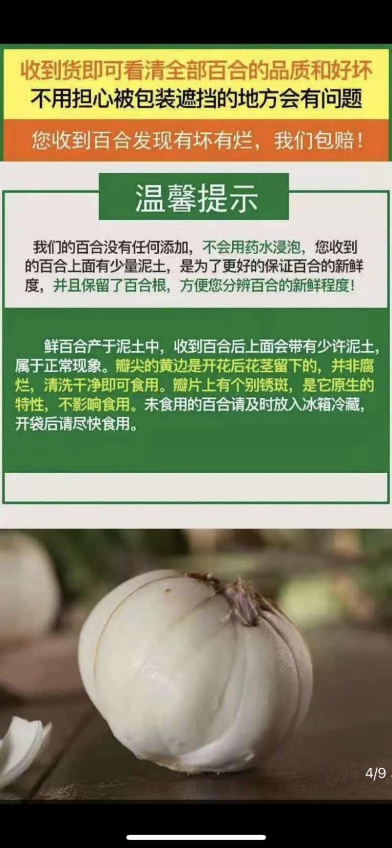 兰州鲜百合12头1袋/斤/20袋坏果包赔