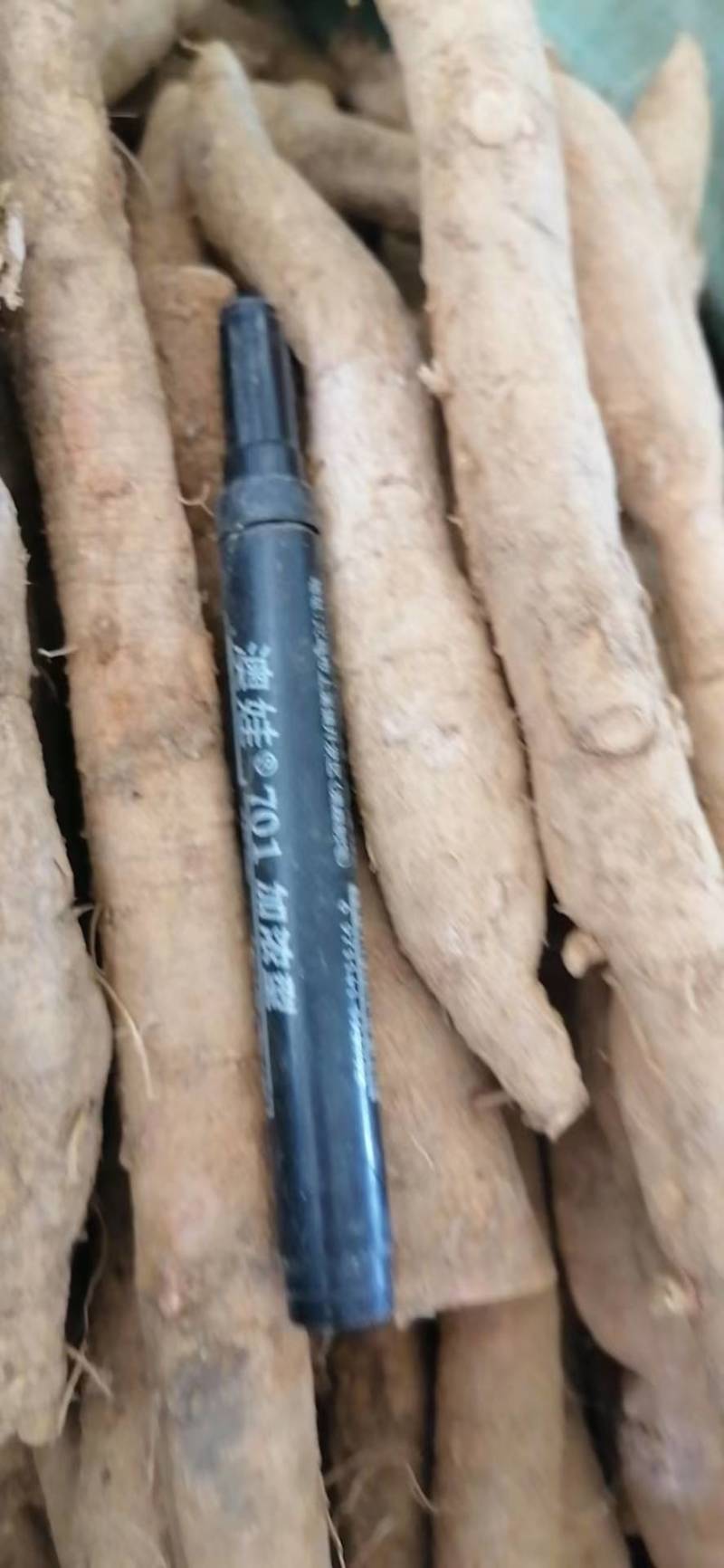 新鲜牛大力，中叶牛，小牛，中牛，大牛煲汤泡酒靓货口味甘甜