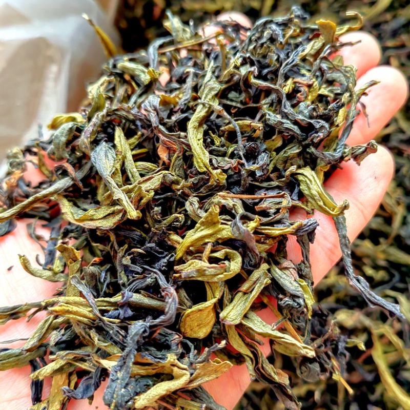 土山茶高山茶叶惠来土山茶诏安八仙茶潮汕土山茶叶1斤大坪茶