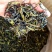 土山茶高山茶叶惠来土山茶诏安八仙茶潮汕土山茶叶1斤大坪茶