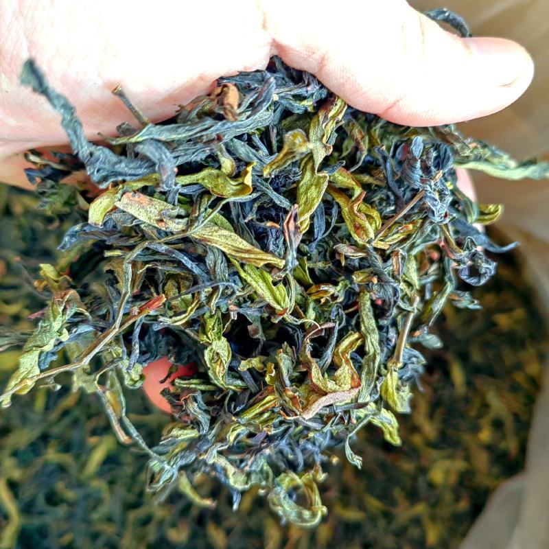 土山茶高山茶叶惠来土山茶诏安八仙茶潮汕土山茶叶1斤大坪茶