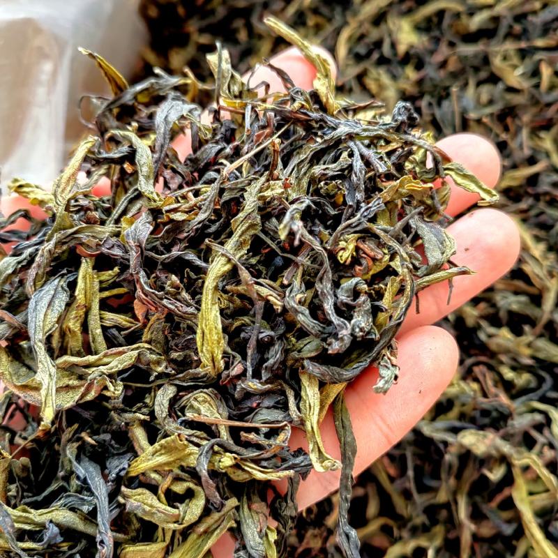 土山茶高山茶叶惠来土山茶诏安八仙茶潮汕土山茶叶1斤大坪茶