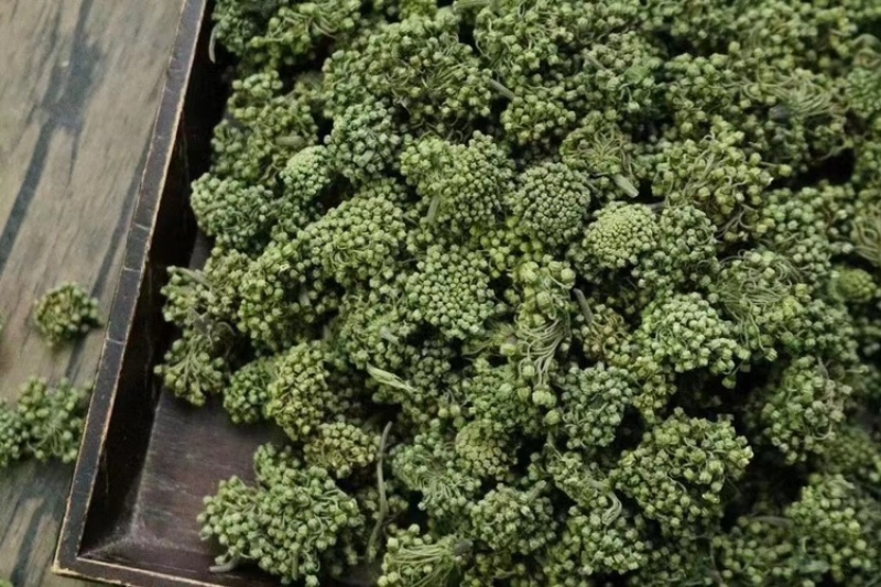 三七花，文山三七，三七花两年花，三七花三年花，颜色绿