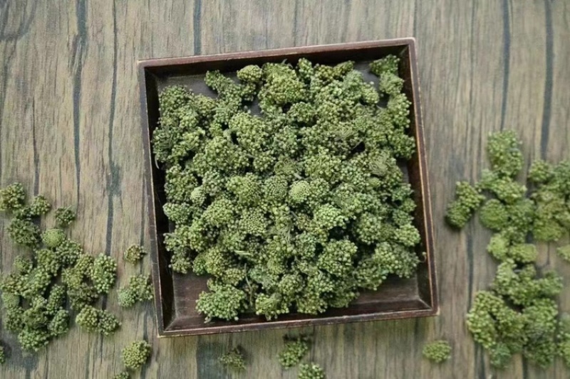 三七花，文山三七，三七花两年花，三七花三年花，颜色绿