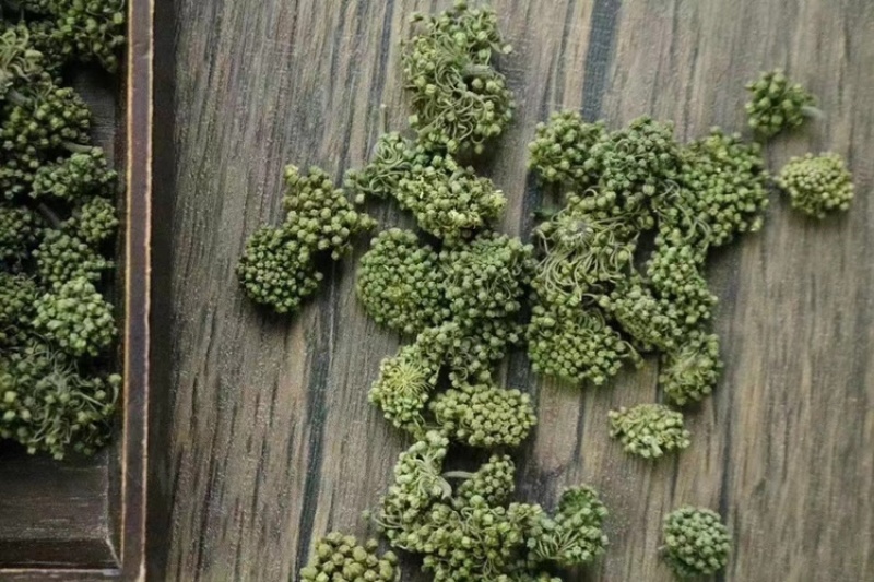 三七花，文山三七，三七花两年花，三七花三年花，颜色绿