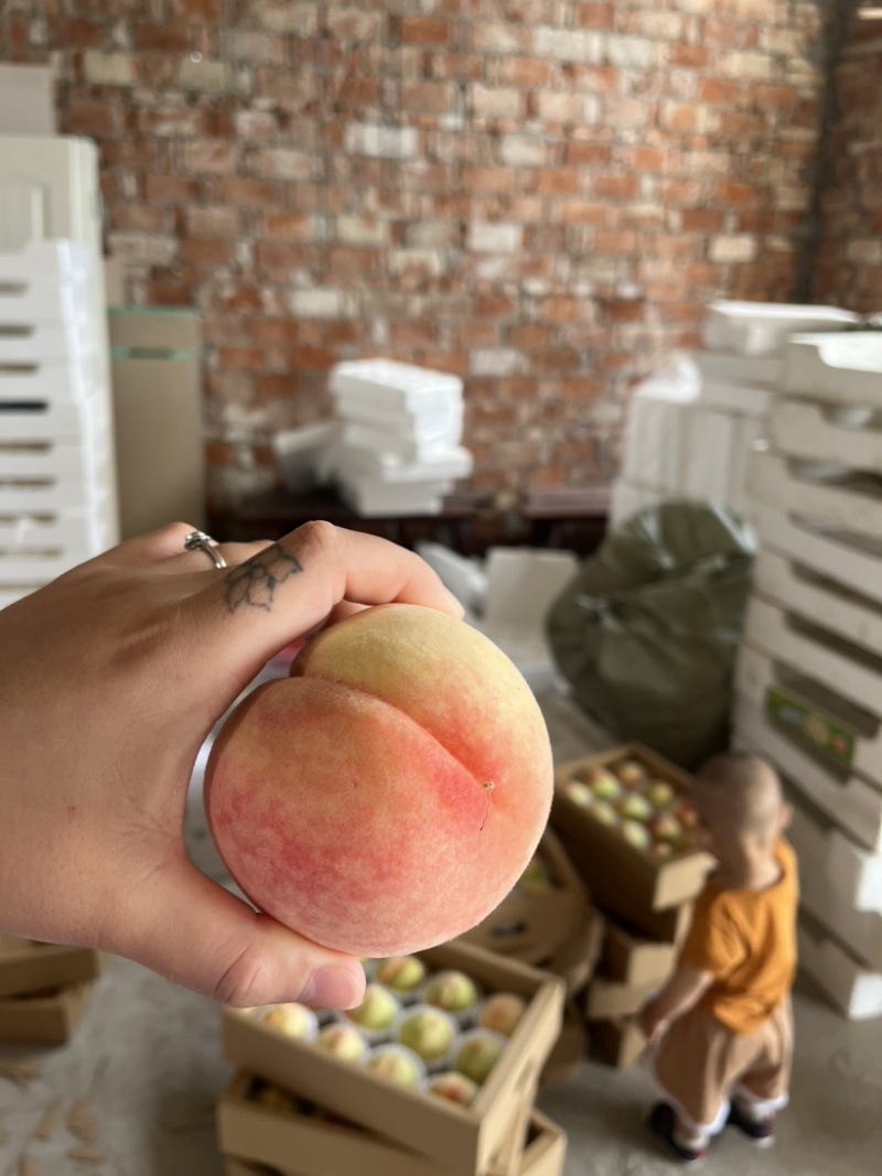 凤桥水蜜桃🍑