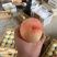 凤桥水蜜桃🍑