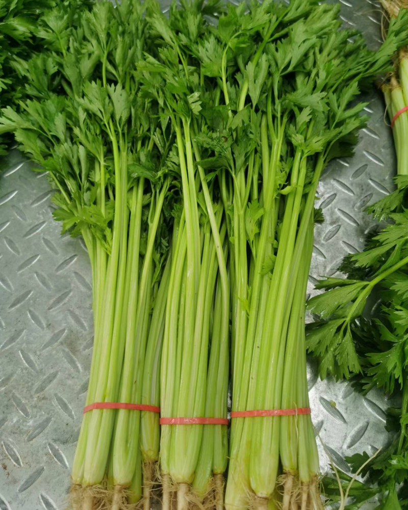香芹
